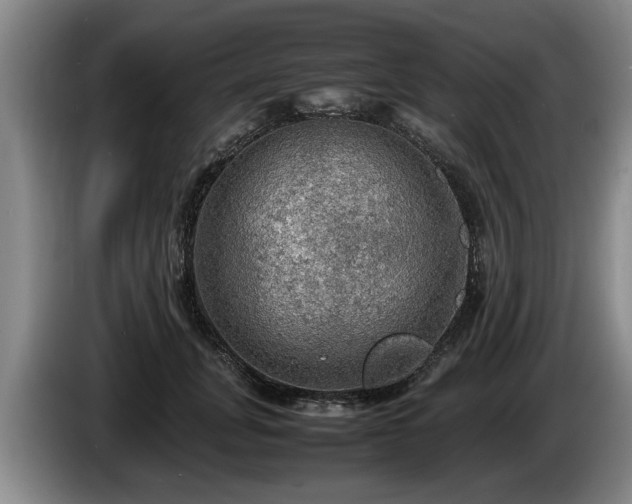 X0000086230751200704051156