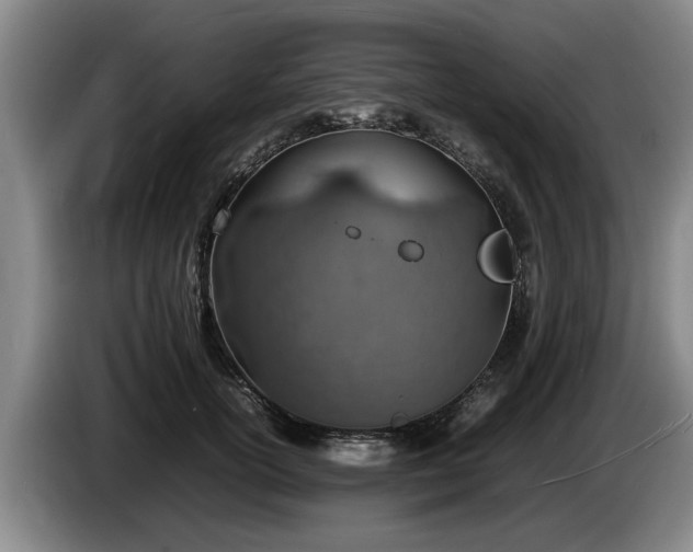 X0000086230754200704051156