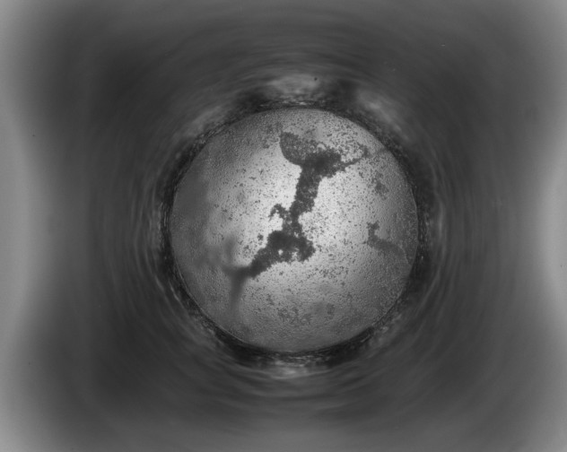 X0000086230757200704051156