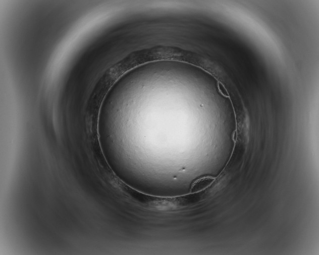 X0000086230765200704051156