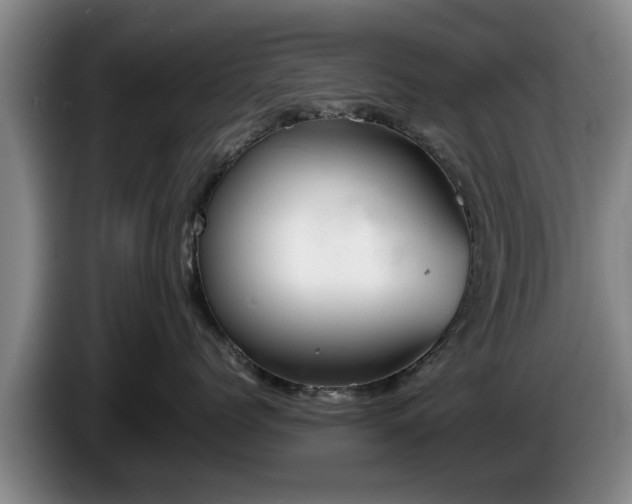 X0000086230768200704051156