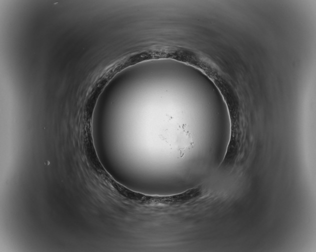 X0000086230773200704051155