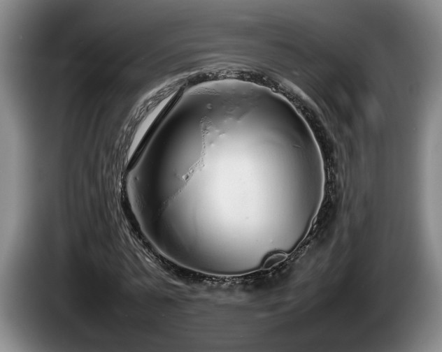 X0000086230775200704051155