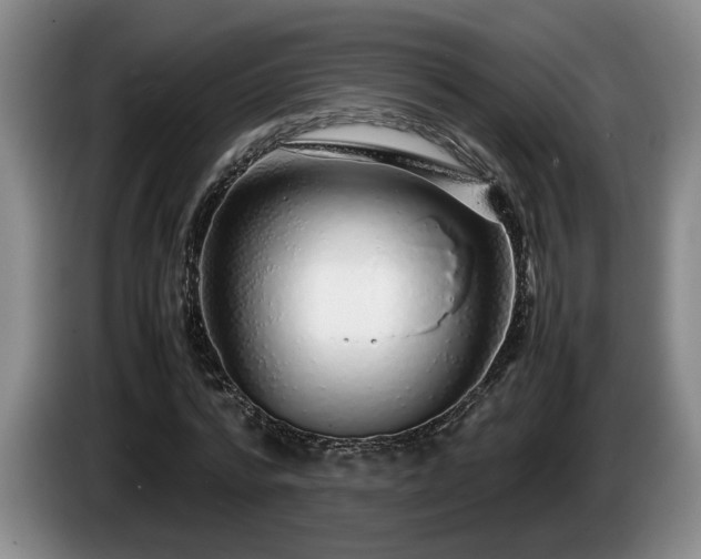 X0000086230776200704051155