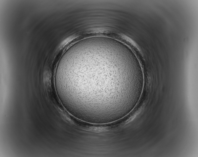 X0000086230778200704051155
