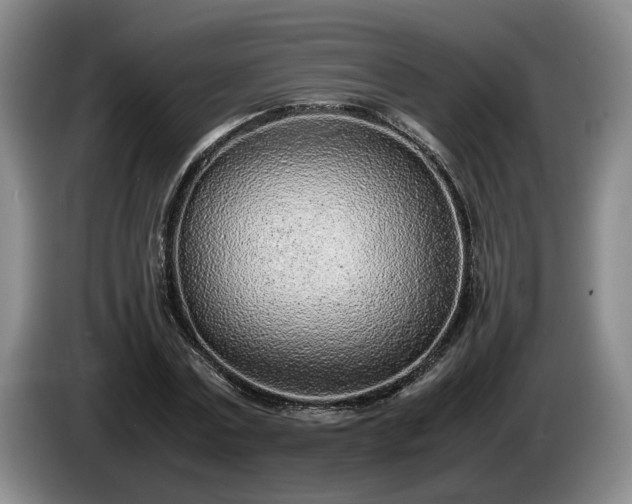 X0000086230779200704051155