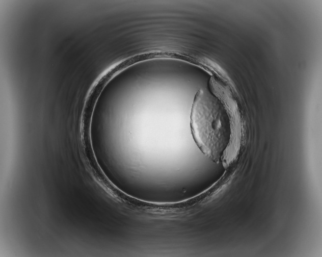 X0000086230780200704051155