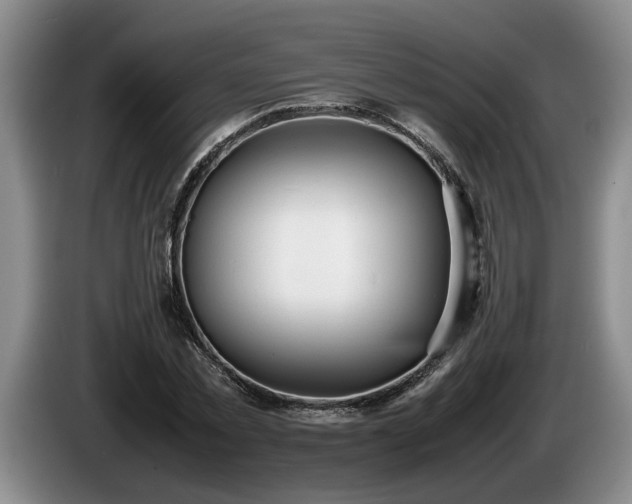 X0000086230781200704051155