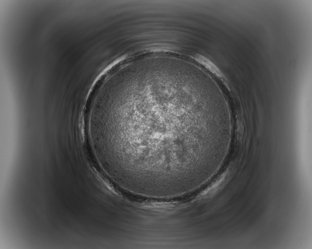X0000086230782200704051155