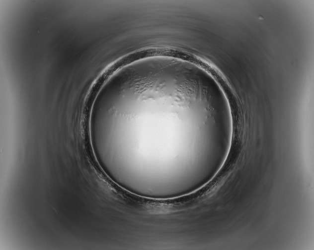 X0000086230783200704051155