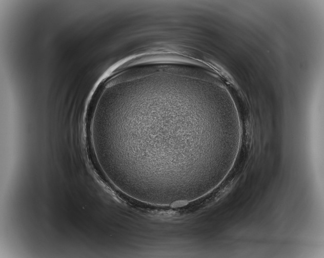 X0000086230784200704051155