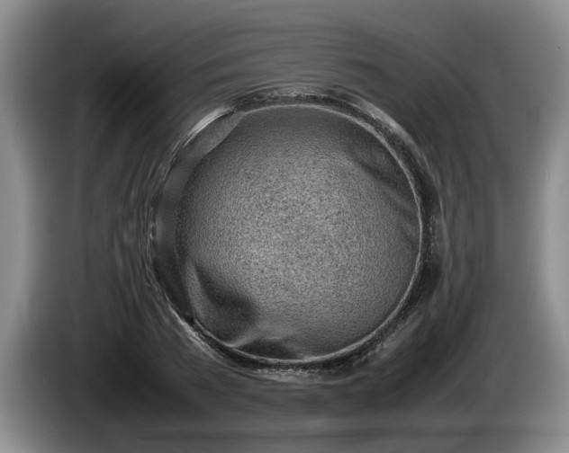 X0000086230785200704051155
