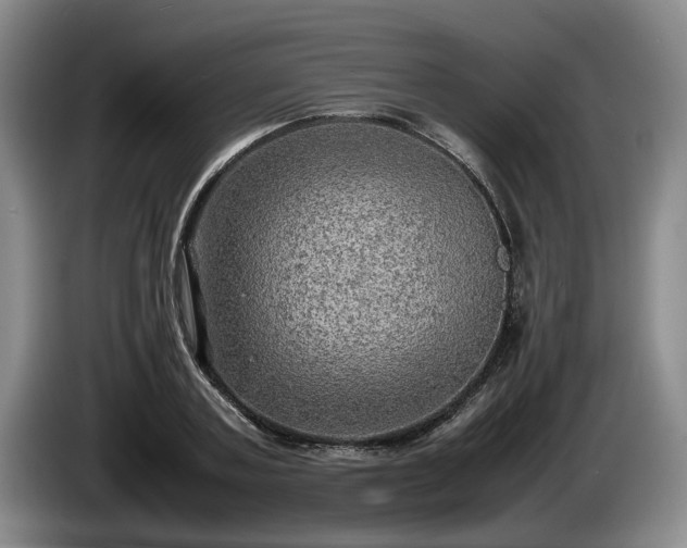 X0000086230787200704051155