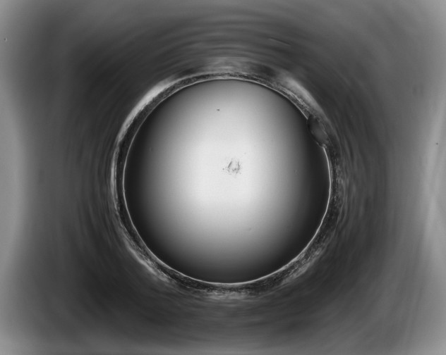 X0000086230788200704051155