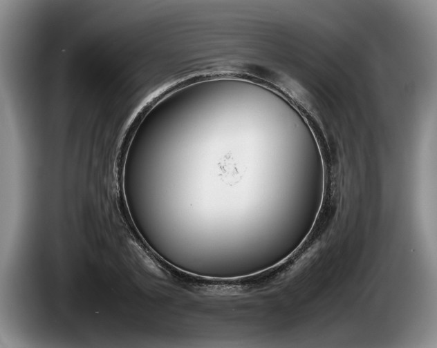 X0000086230789200704051155