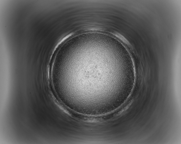 X0000086230790200704051155