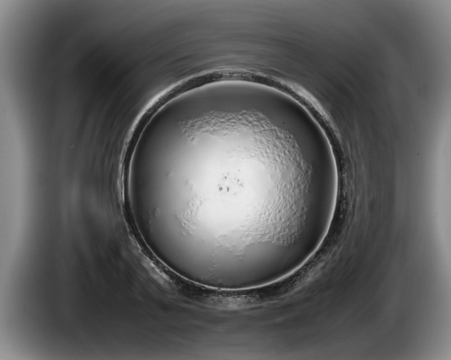 X0000086230791200704051155