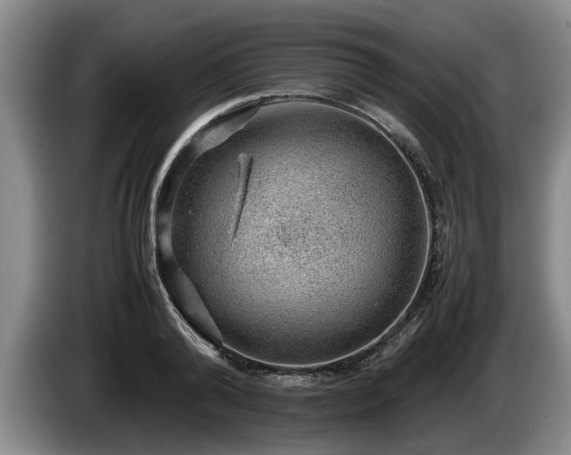 X0000086230792200704051155
