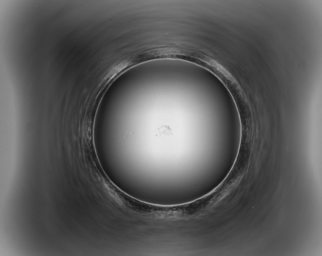 X0000086230793200704051155