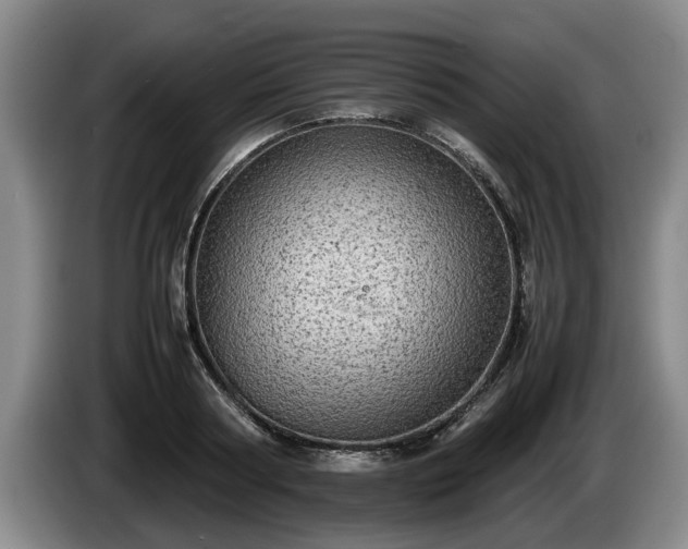 X0000086230794200704051155