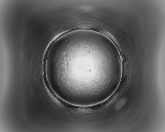 X0000086230795200704051155