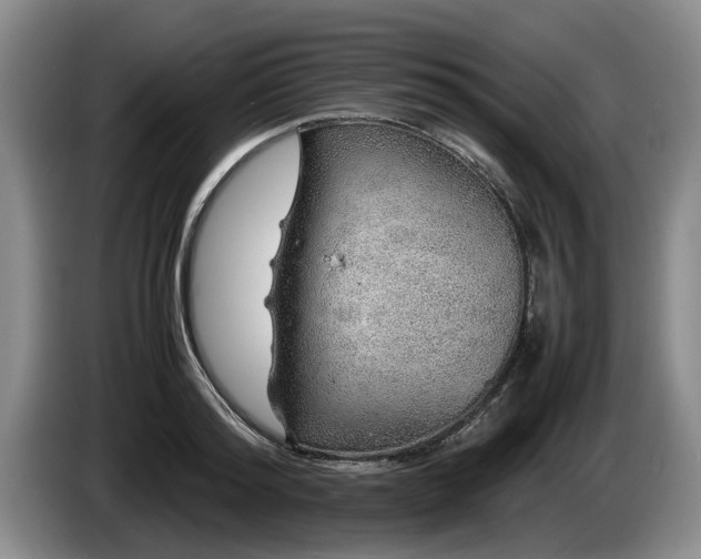 X0000086230796200704051155