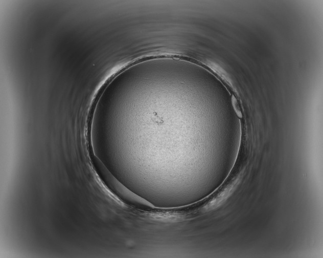 X0000086230797200704051155