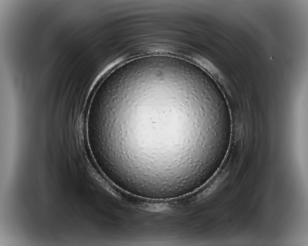 X0000086230798200704051155