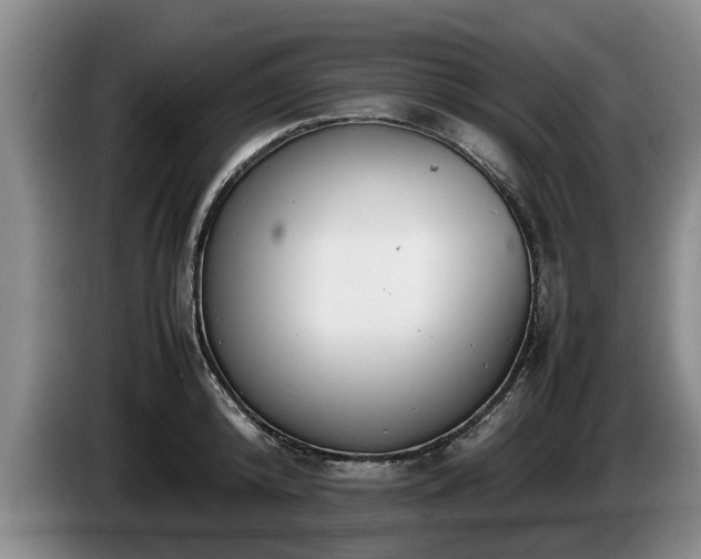 X0000086230800200704051155