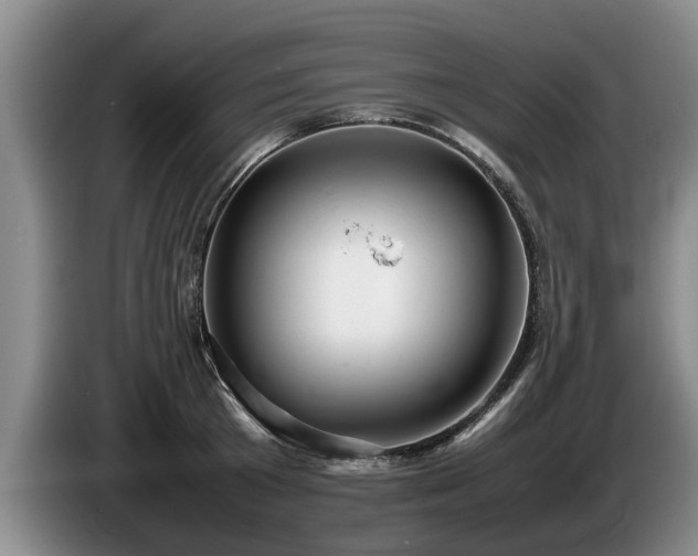 X0000086230801200704051155