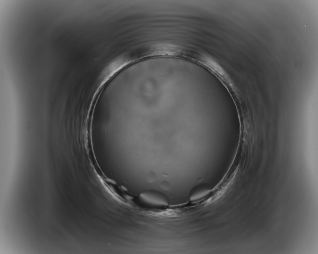 X0000086230802200704051155