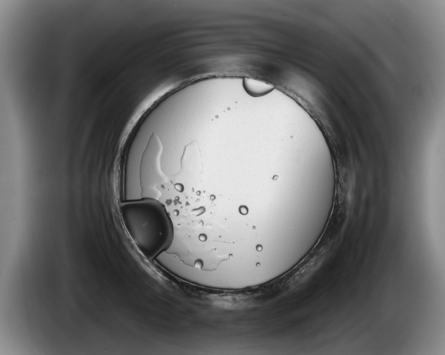 X0000086230804200704051155