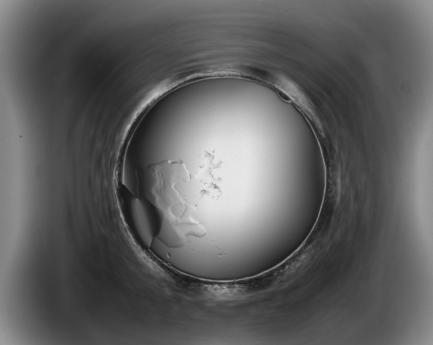 X0000086230805200704051155