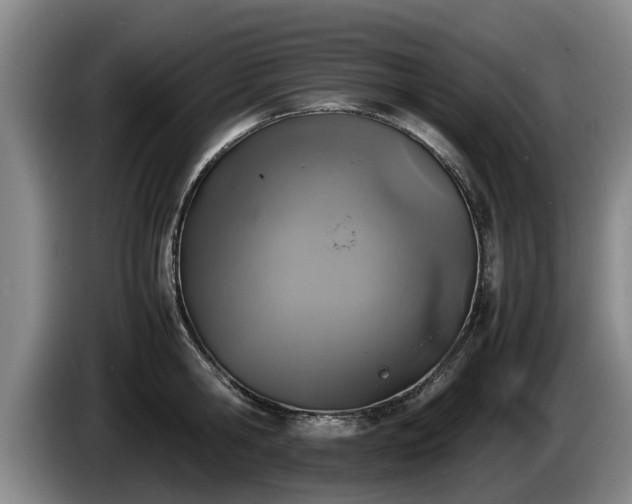 X0000086230806200704051155