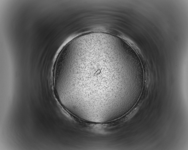 X0000086230808200704051155