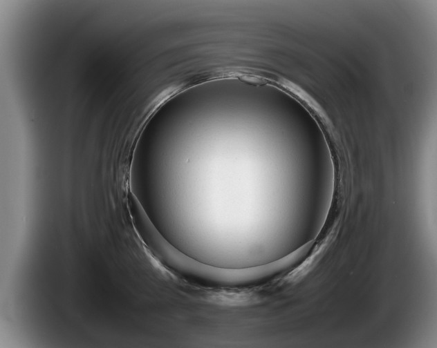 X0000086230809200704051155