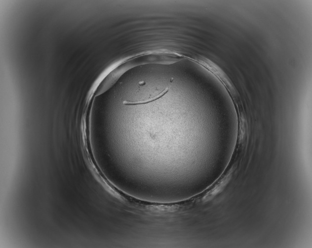 X0000086230812200704051155