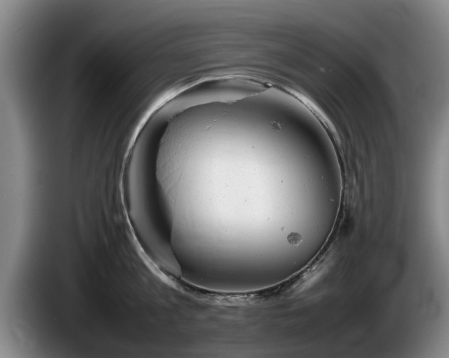 X0000086230813200704051155
