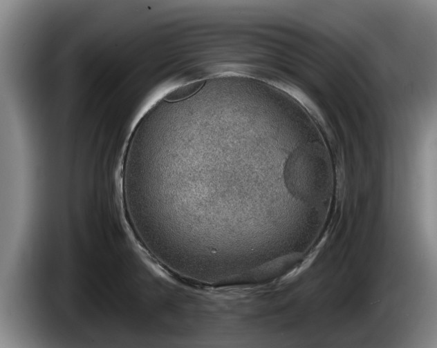 X0000086230814200704051155