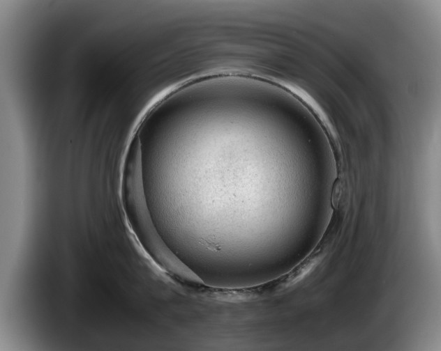 X0000086230815200704051155