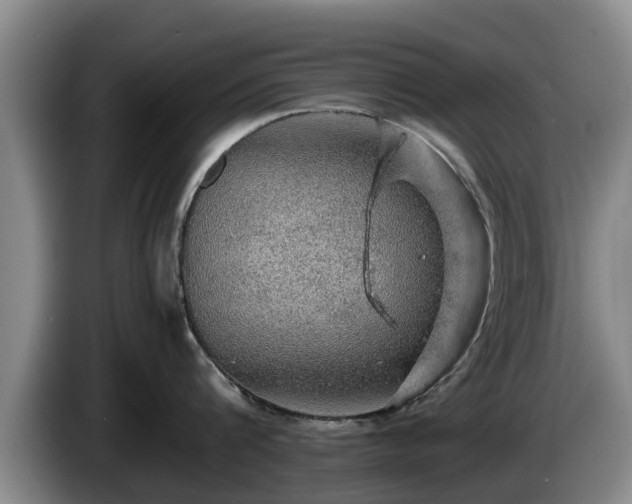 X0000086230816200704051155