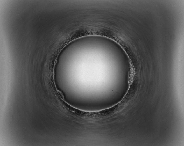 X0000086230817200704051154