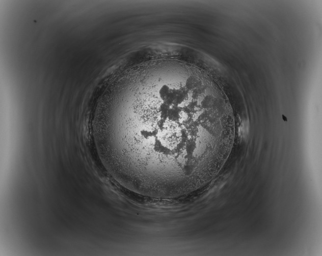 X0000086230819200704051154