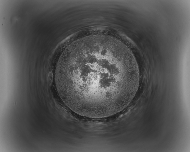 X0000086230821200704051154