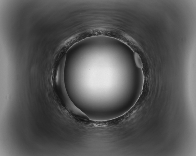 X0000086230822200704051154