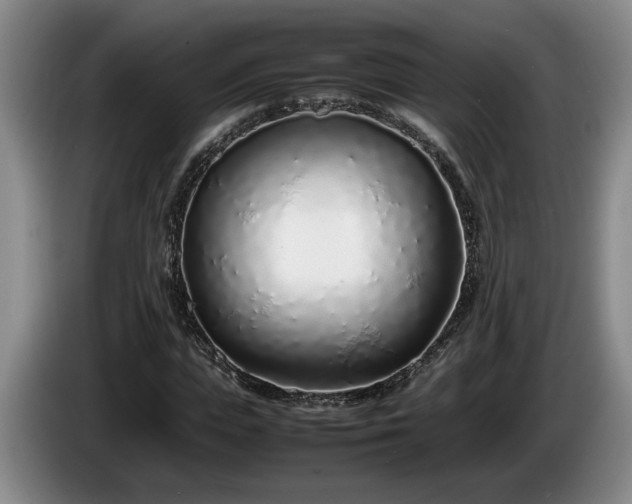 X0000086230823200704051154