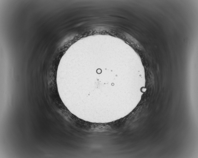X0000086230824200704051154