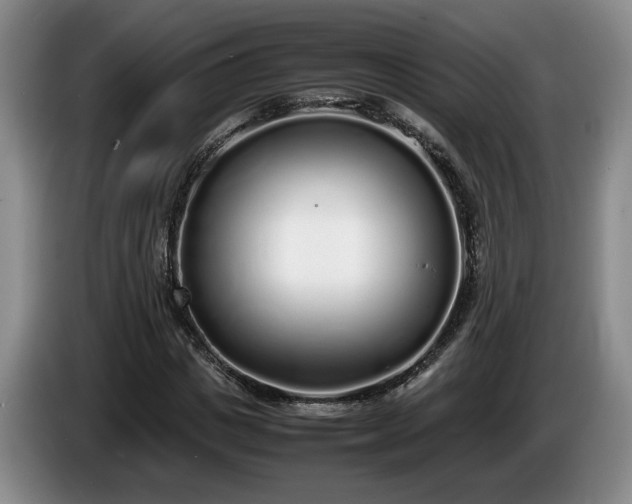 X0000086230825200704051154