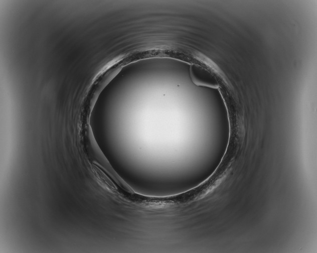 X0000086230826200704051154