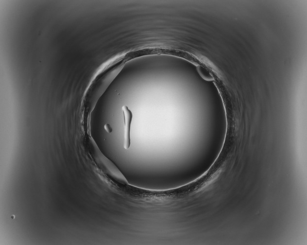 X0000086230830200704051154